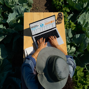 Vista panorámica de una mujer con un sombrero de ala ancha que está trabajando en una presentación de negocios en un MacBook, sentada en una mesa en un huerto.