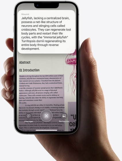 Une main tient un iPhone 16e affichant les résultats d’une recherche effectuée à l’aide de l’intelligence visuelle.