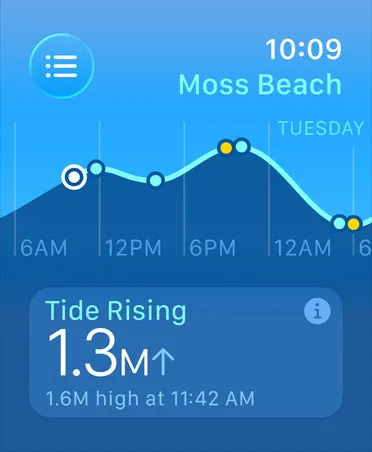 Tides app, metrics: high and low tides, rising and falling tides, line graph estimating times and tide points