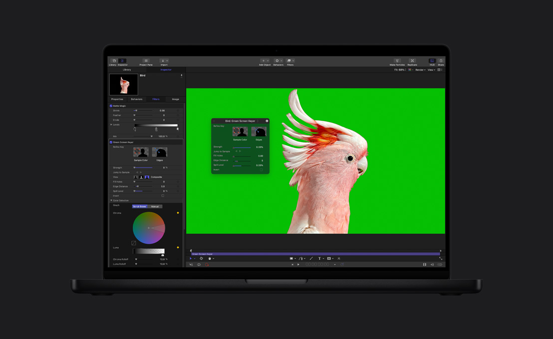MacBook Pro 16, a pink cockatoo on a green screen, demo of Chroma Key